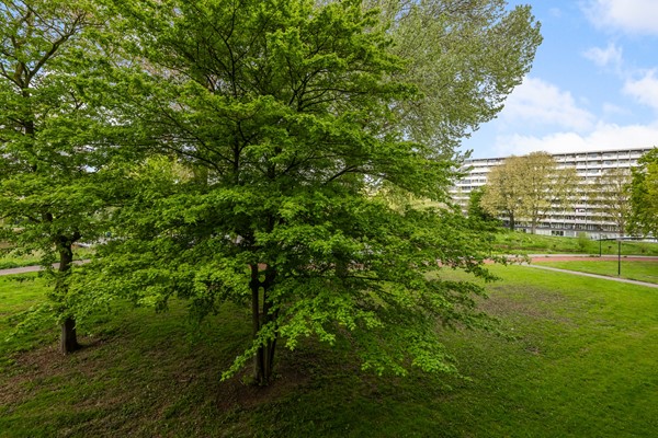 Medium property photo - Glitterstraat 190, 1103 SK Amsterdam